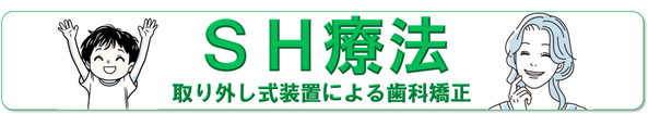 SH療法のバイブル。SH療法の正しいことを伝えます。