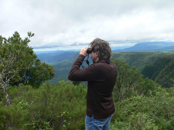 Drakensberge, God's Window, Blick Richtung Kruegerpark