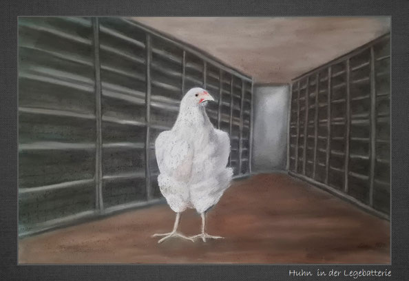 Huhn in der Legebatterie Zeichnung Pastellkreide Kunst Heike Lüders