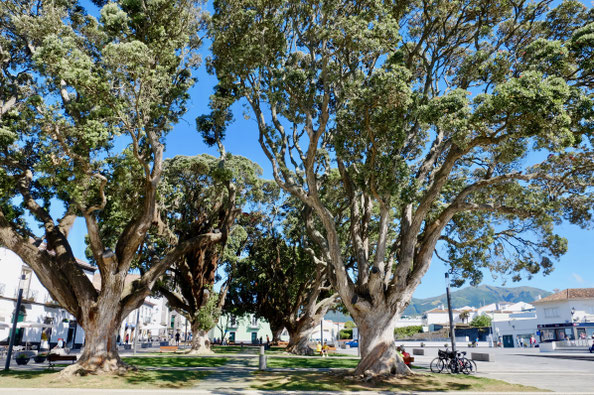 Platz vor dem Rathaus in Ribeira Grande, Sao Miguel, Azoren