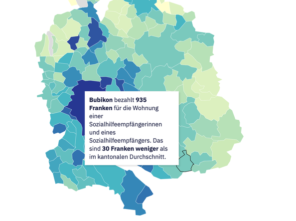 (Screenshot: tagesanzeigerr.ch)