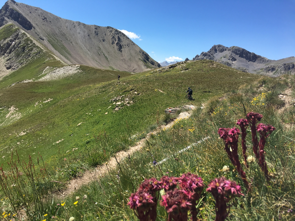 dal colle delle Munie e  per  circa 6 km si scende e si pedala in fantastico singletrack