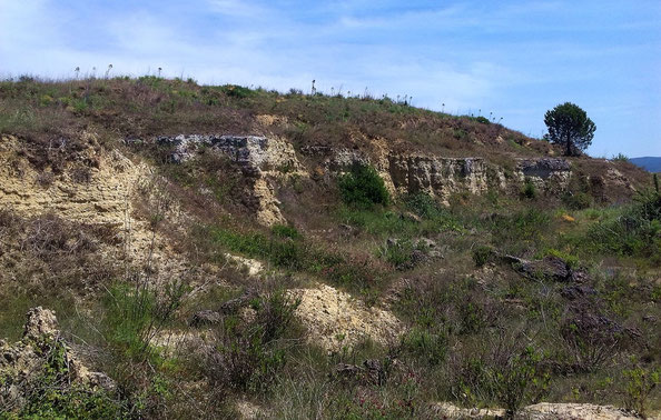 Veduta di Monte Riccio