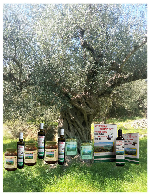 Extra Virgin Olive Oil (EVOO) and Gourmet Olives in Toronto, Across