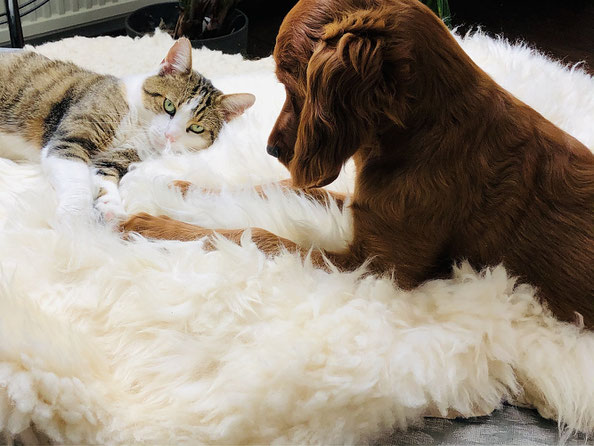 Madita und Kater Tüta