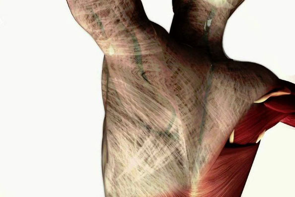 Faszientherapie Basel, Physiotherapie Santewell, Physiotherapie Basel, Liebscher und Bracht, Arthrose Lüge, Rückenschmerzen