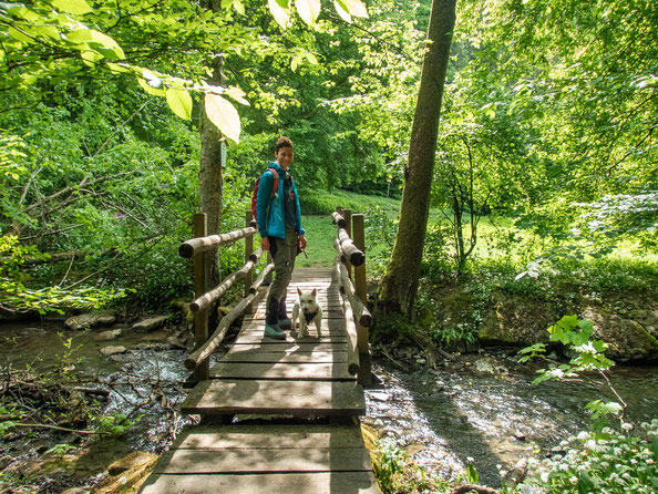 Ich liebe kleine Holzbrücken und so ziemlich auf jeder muss angehalten werden um ein Foto zu schießen.