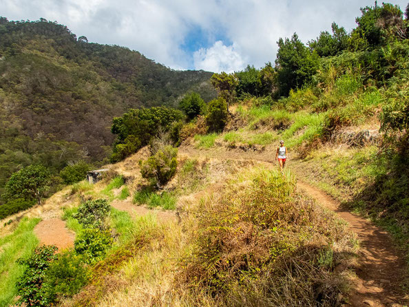 Madeira - die schönsten Wandertouren auf der Blumeninsel (hier: Küstensteig Porto da Cruz nach Machico durch die Boca do Risco)