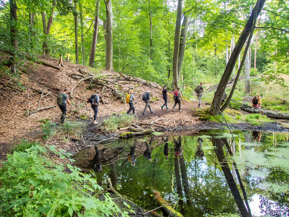 Mein erstes Survival-Training bei der Jagd- und Wildnisschule Lupus