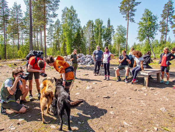 Outdoor Aktivurlaub in Finnland, Lappland. Foto: Husky-Farm Bearhill Rovaniemi