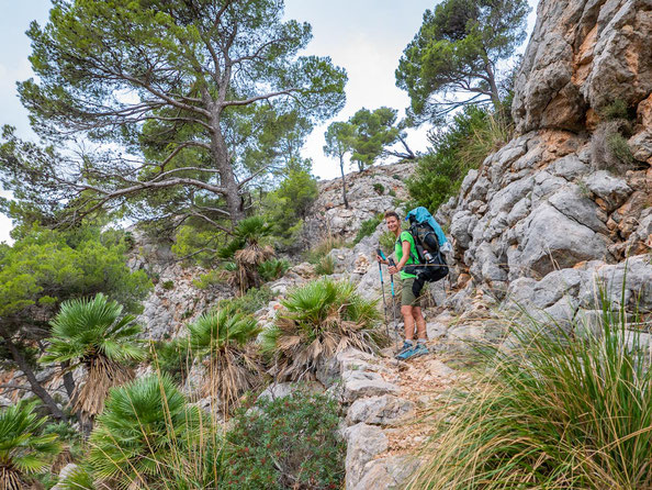 Mehrtagestrekking auf dem GR 221 auf Mallorca - Etappe 3 der Wanderung von Ses Fontanelles nach Estellencs