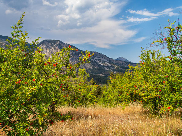 Mehrtagestrekking auf dem Lykischen Weg in der Türkei - wandern fernab der Zivilisation in einer traumhaften Landschaft umgeben von Meer, Klippen und Bergen. (hier: Etappe 16 von Gedelme nach Göynük Yaylasi)