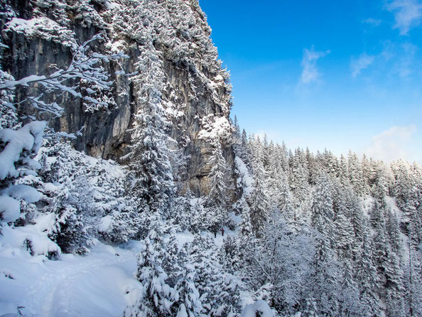 Winterwanderung von Garmisch-Partenkirchen zum Königsstand - den ganzen Tourentipp findet ihr bei mir auf dem Blog