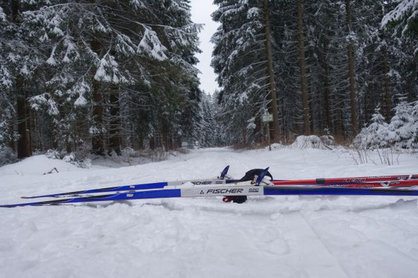 Ski Heil in den vogtländischen Wäldern, 31.01.2026
