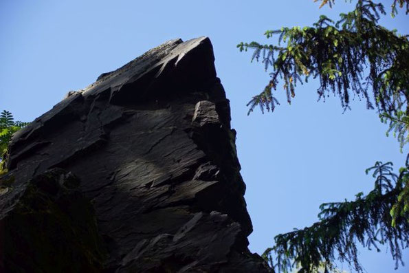 Mittwochsklettern Klettern am Schwarzen Stein in Grünbach, 27.05.2026, oder Felsnase schaut zu!