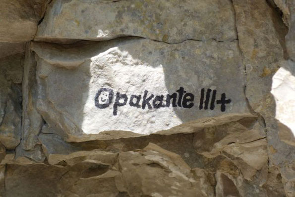 Opakante – Ein Kletterschmankerl im Oberen Donautal, Juli 2025