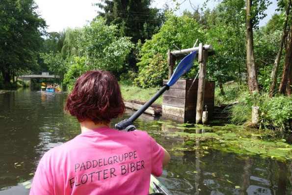 zur Sommersonnenwende im Spreewald paddeln, 20.06.2026