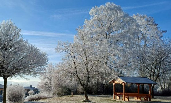 winterliche Wanderung bei Coschütz, 27.12.2025 von W. Roth