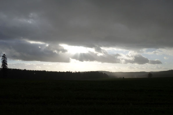 Blick vom Scheibenhäuser Weg Richtung Eimberg bei Werda - 19.11.2023