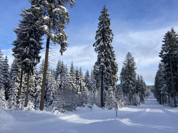 Kammloipe zwischen Kottenheide und Kielfloßgraben, 27.01.2021 ( Foto: L.Schneider )