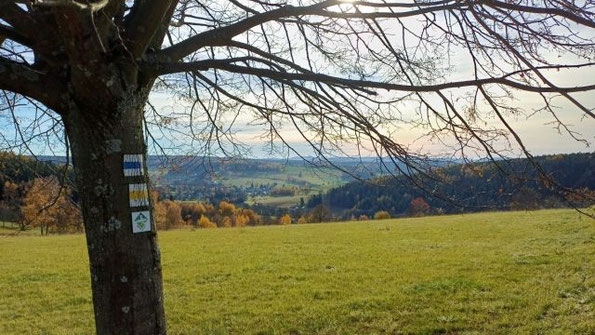 Wanderung bei Erlbach, 05.11.2025