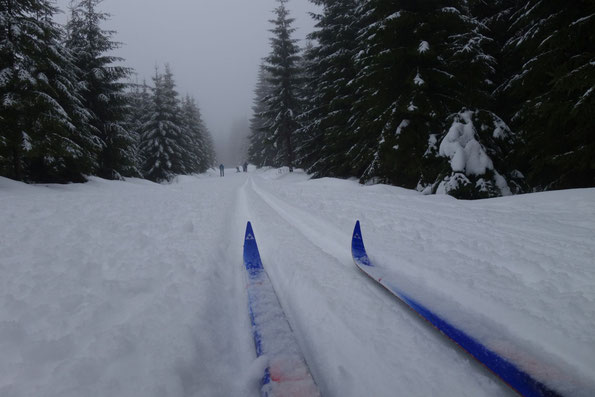 Schnee Info: Kammloipe Weitersglashütte - Johanngeorgenstadt, 31.12.2018