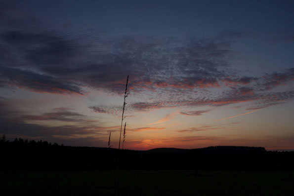 Abendhimmel über dem Vogtland zur Sommer Sonnenwende (Foto: J. Bartsch, 25.06.2026 )
