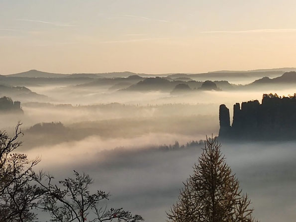 Blick von der Hohen Liebe zum Bloßstock, Sächsische Schweiz (Foto: S. Tanneberger,  30.10.2022)