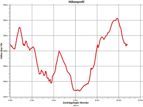 Höhenprofil zur Wanderung "Wanderung bei Tirpersdorf", 06.11.2022