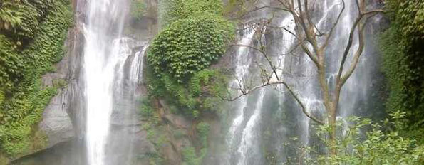 the Sekumpul waterfall