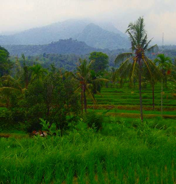 view to the mountains