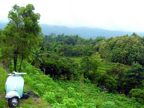 blue vespa - green view