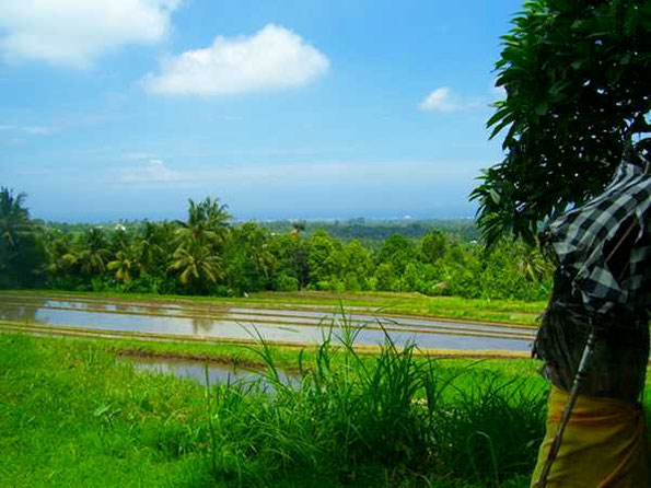 View from a temple to the coast