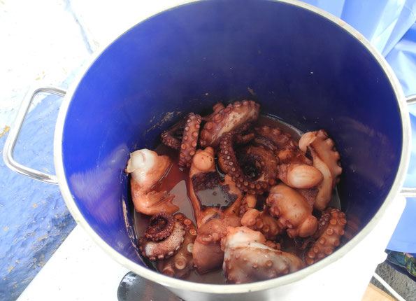 So, jetzt passt es,........hier sieht man sehr schön, wie sich die Farbe des Oktopus zu rötlich bis rot verändert hat!