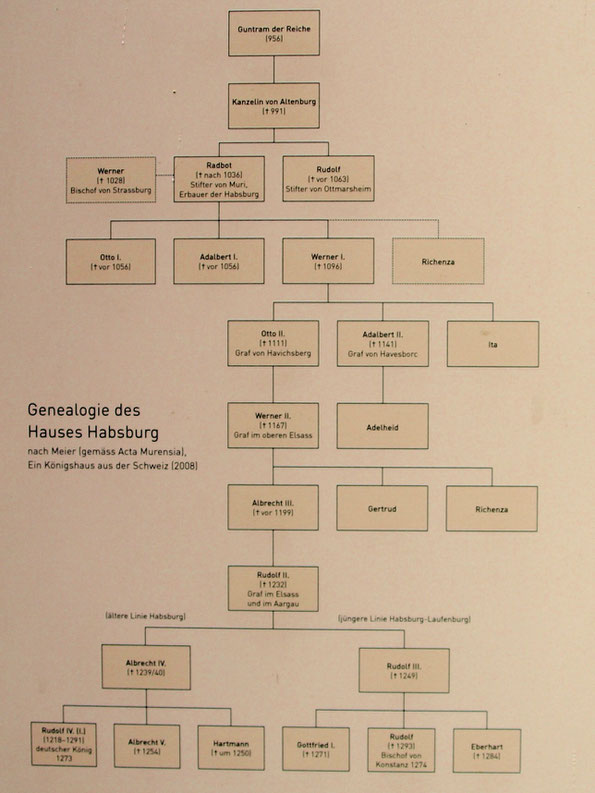 Arbre généalogique des Habsbourg de Gontran le Riche à Rodolphe 1er roi des Romains en 1273. Source : château de Habsbourg ; document établi d'après les actes de Muri.