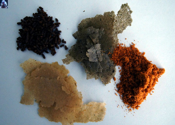 Trockenfutter für Fische. Flakes, Granulat und Pulver