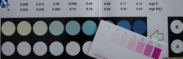 Farbskala von PO4 & NO3 Wassertests