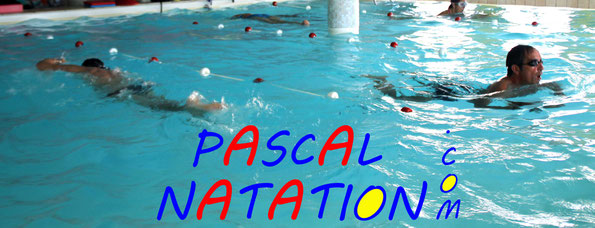 Natation adultes à La Ciotat Piscine Pascal Natation