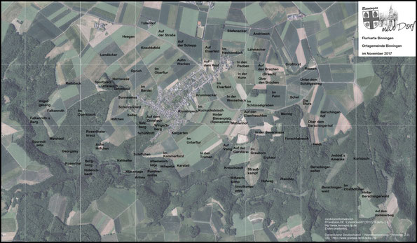 Flurkarte Binningen
