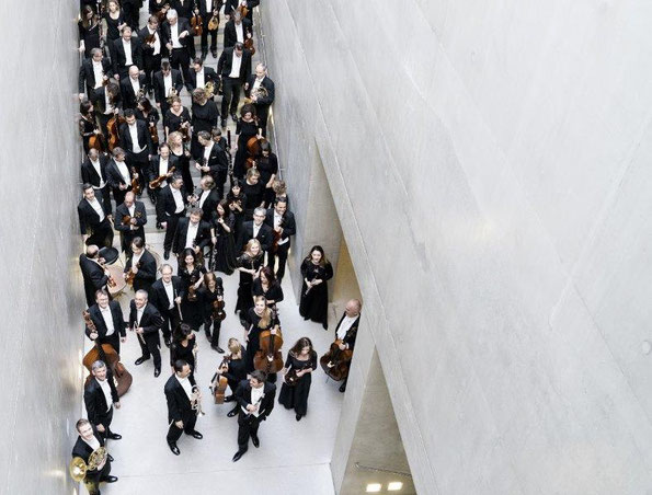 Mozarteumorchester Salzburg. Foto: Nancy Horowitz.