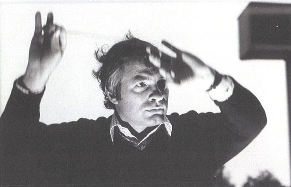 © MOZARTEUMORCHESTER SALZBURG