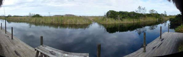 Bild: Everglades