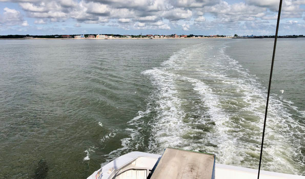 Inselauszeit auf Föhr 