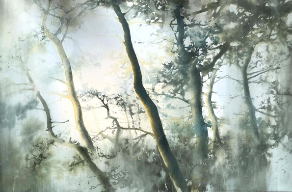 Bosco di Pini Neri sulla "Via della Salvia" cm 56 x 38