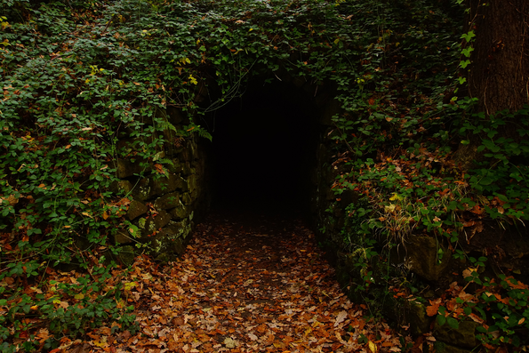 Ein dunkler Tunnel im Wald. Bild von Ray Bilcliff auf Pexels.