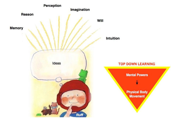 How the Happy Process Works