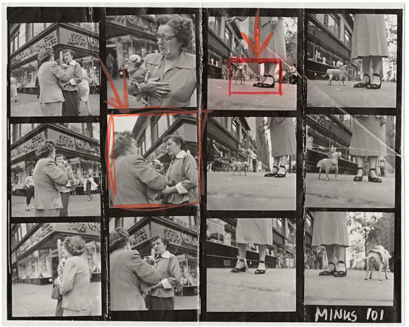 Contact Sheet/ELLIOTT ERWITT: A sweatered Chihuahua, New York City, 1946