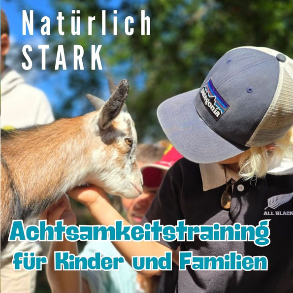 Zingst Familien Freizeit Ferien Ostseeurlaub Aktivitäten Familientraining Achtsamkeit Kommunikation