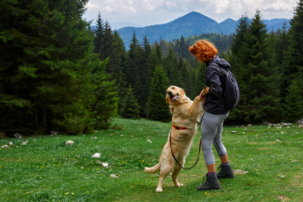 Wandern mit Hund bringt Bewegung, baut Stress ab und stärkt die Bindung zwischen Mensch und Tier. © iStock.com