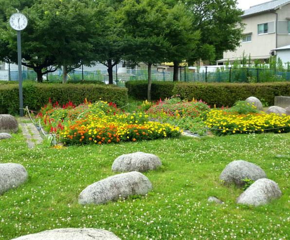 今はお花が咲く・・古井戸公園